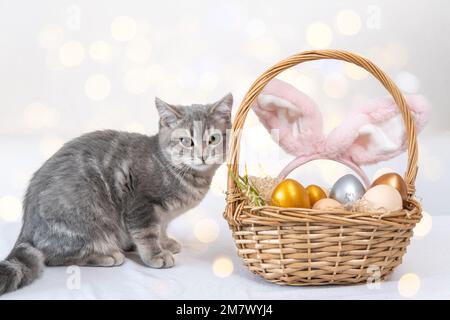 A charming little kitten is sitting next to a basket with colorful Easter eggs and pink rabbit ears on a white background with a side. Easter painted Stock Photo