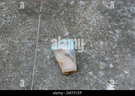 trash near the house and started to decompose Stock Photo