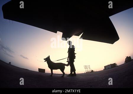 A German shepherd, a graduate of the Department of Defense Dog Center, is used by the security police to assist on guard duty. Base: Lackland Air Force Base State: Texas (TX) Country: United States Of America (USA) Stock Photo