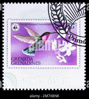 MOSCOW, RUSSIA - JULY 12, 2022: Postage stamp printed in Guinea-Bissau shows Garnet-throated Hummingbird (Lamprolaima rhami), Stamps on stamp serie, c Stock Photo