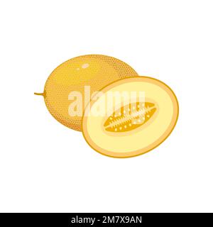 melon isolated on white background. Vector illustration. Eps 10. Stock Vector