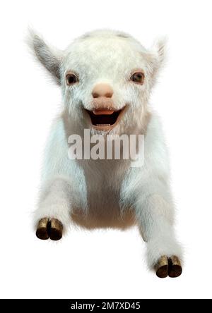 3D rendering of a white baby goat isolated on white background Stock Photo