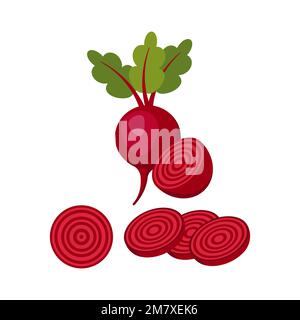 beet isolated on white background. Vector illustration. Eps 10 Stock Vector