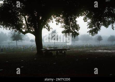 Early morning view of Barrancas National Cemetery on Veterans Day. Base: Naval Air Station, Pensacola State: Florida (FL) Country: United States Of America (USA) Stock Photo