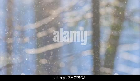 Winter landscape with falling snow, defocused background Stock Photo
