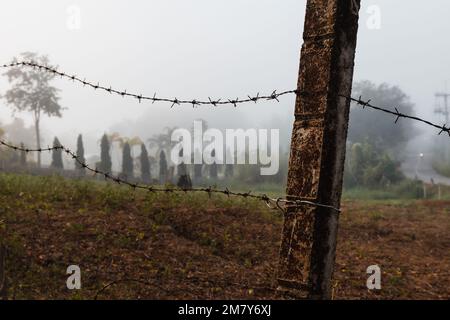 Barbed wire around the field in misty morning, close up Stock Photo