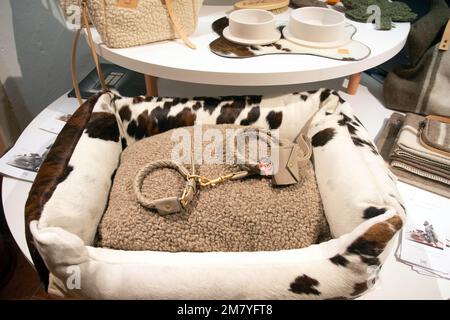 Pitti Uomo 103 Debuts Pitti Pets Luxury pet clothing Stock Photo