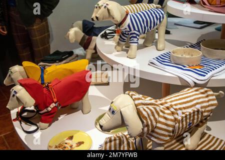 Pitti Uomo 103 Debuts Pitti Pets Luxury pet clothing Stock Photo