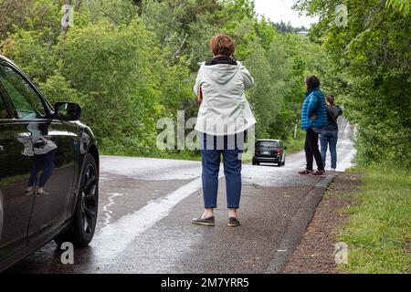 MAGNETIC HILL, A GRAVITY HILL THAT CREATES AN OPTICAL ILLUSION THAT GIVES THE IMPRESSION OF ROLLING UPHILL IN REVERSE, MONCTON, NEW BRUNSWICK, CANADA, NORTH AMERICA Stock Photo