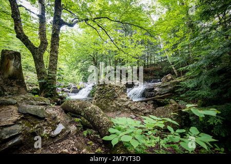 Ruines Carbide Willson, Chelsea, Québec, Canada Stock Photo