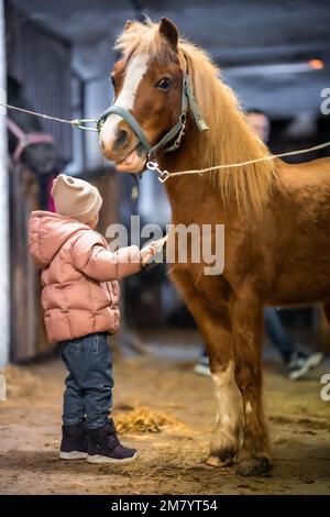 Horse care inside the stable before the ride. Little cute girl and pony. Stock Photo