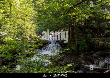 Ruines Carbide Willson, Chelsea, Québec, Canada Stock Photo