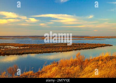 A salt marsh at the Edwin B. Forsythe National Wildlife Refuge; New Jersey at sunset. Stock Photo