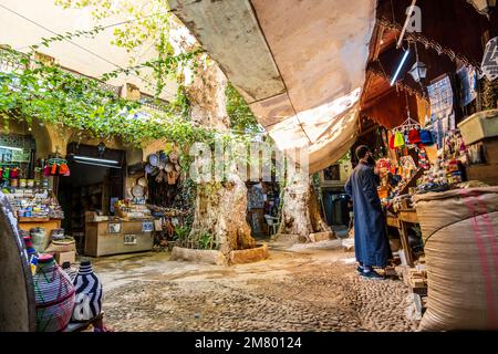 Green courtyard with shops with traditional Moroccan products in Fes, Morocco, North Africa Stock Photo