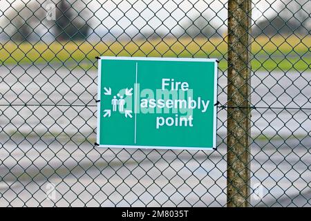 Green and white Assembly Point sign fixed to a chain link fence Stock Photo