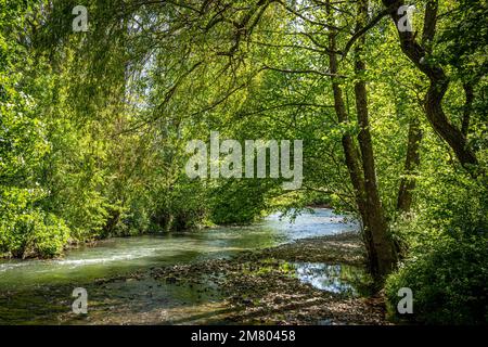 BANKS OF THE RIVER, RUGLES, VALLEY OF THE RISLE, EURE, NORMANDY, FRANCE Stock Photo