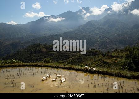 Stunning Views and High Mountains in Sa Pa, Vietnam Stock Photo