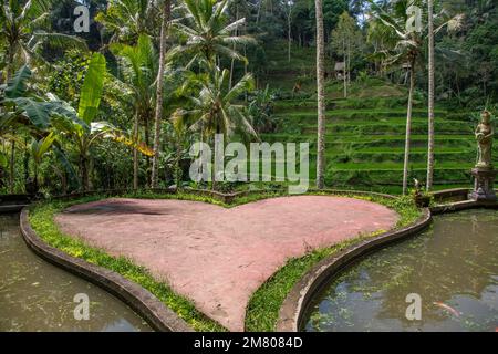 A heart on the ground in front of the rice terraces in Tegallalang, Bali Stock Photo