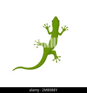 lizard isolated on white background. Vector illustration. Eps 10. Stock Vector