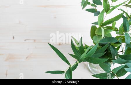 Branches of fresh eucalyptus in a vase on a light wooden background. Top view and copy space. Stock Photo