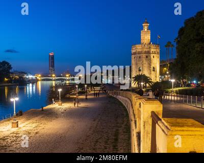 Night view of the Torre del Oro of Seville by the Guadalquivir River Stock Photo