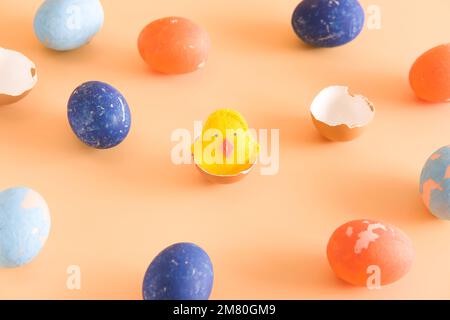 Diy easter chicken in eggshell. concept. beige background. layout. Stock Photo