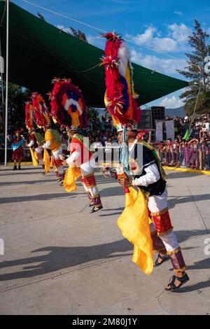 Dancers from Villa de Zaachila perform the Danza la Pluma at the Guelaguetza in San Antonino , Oaxaca, Mexico. Stock Photo