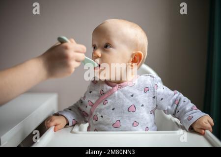 Baby girl eating blend mashed food sitting, on high chair, mother feeding child, hand with spoon for vegetable lunch, baby weaning, first solid food f Stock Photo