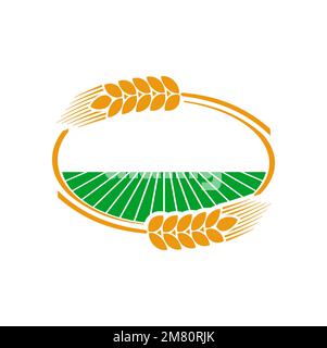 Cereal ear and spike icon of wheat, rye, barley, rice and millet of agriculture crop plants. Vector farm field in frame of wheat ears, rye spikes or barley spikelets wreath with ripe grains and seed Stock Vector