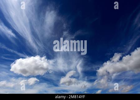 Cumulus humilis clouds in a deep blue sky. Stock Photo