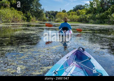 Kayakers on the Guana River approaching Florida SR A1A in Ponte Vedra Beach, Florida. (USA) Stock Photo