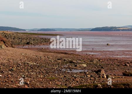 The mud flat in the Bay of Fundy at Hopewell Rocks, New Brunswick. Stock Photo
