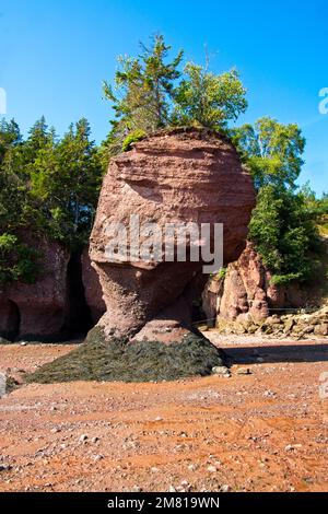 Hopewell Rocks on the Bay of Fundy Coast, New Brunswick. Stock Photo