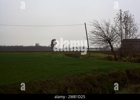 Tree  and a country house by the edge of a stream of water next to cultivated fields on an overcast day Stock Photo