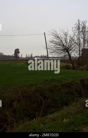 Tree  and a country house by the edge of a stream of water next to cultivated fields on an overcast day Stock Photo
