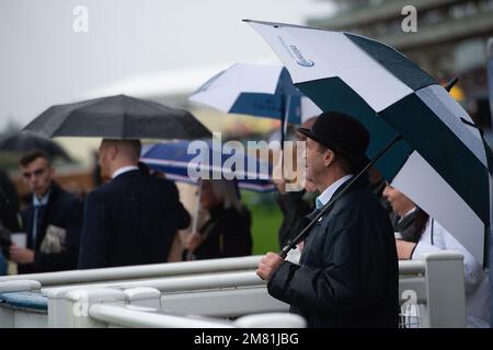 Ascot, Berkshire, UK. 2nd October, 2021. Racegoers with their umbrellas enjoying racing at Ascot. Credit: Maureen McLean/Alamy Stock Photo