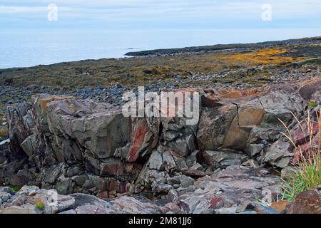 The sea floor is a beautiful landscape once revealed. Parkers Cove, Nova Scotia. Stock Photo