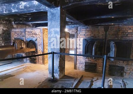 Auschwitz crematorium interior - Ovens for cremating bodies, Auschwitz Birkenau Concentration Camp museum interior, Auschwitz, Oswiecim, Poland Stock Photo