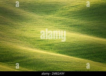 Rolling hills in Tuscany taken in May 2022 Stock Photo