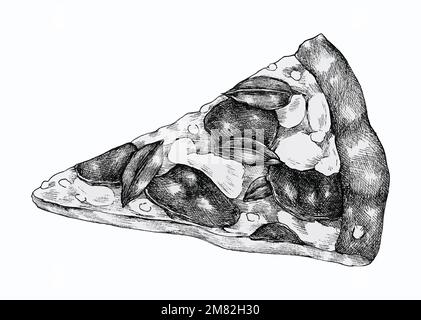Hand drawn slice of pizza vector Stock Vector
