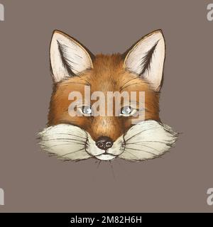 Vintage furry brown fox face vector Stock Vector