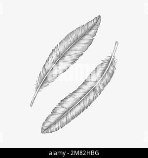 Two hand drawn bird feathers Stock Vector