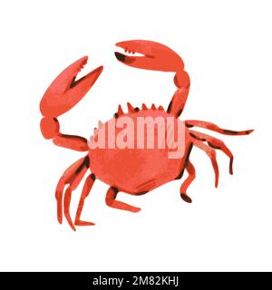 Illustration of crab in hand drawn watercolor style isolated on white background. Vector design element.  Stock Vector
