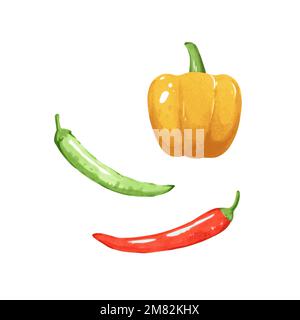 Illustration of chili pepper and paprika in hand drawn style isolated on white background. Vector design element. Stock Vector
