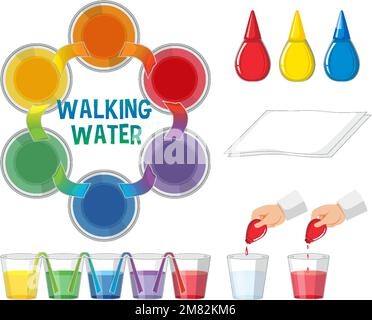 Rainbow walking water science experiment illustration Stock Vector