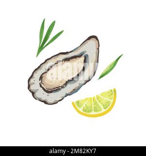 Illustration of oyster in hand drawn watercolor style isolated on white background. Vector design element.  Stock Vector