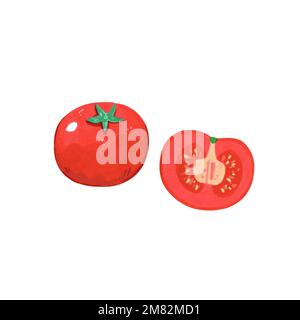Illustration of red tomato in hand drawn cartoon watercolor style isolated on white background. Vector design element. Stock Vector