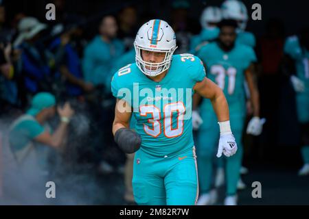 Alec Ingold of the Miami Dolphins is introduced prior to a game News  Photo - Getty Images