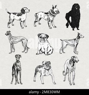 Vintage dog stickers vector in black and white illustrations set, remixed from artworks by Moriz Jung Stock Vector