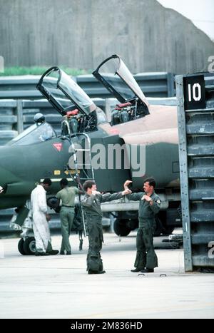 AN F-4E Phantom II aircraft pilot briefs his crew and the Japanese Air ...